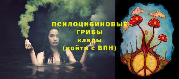Альфа ПВП Верея