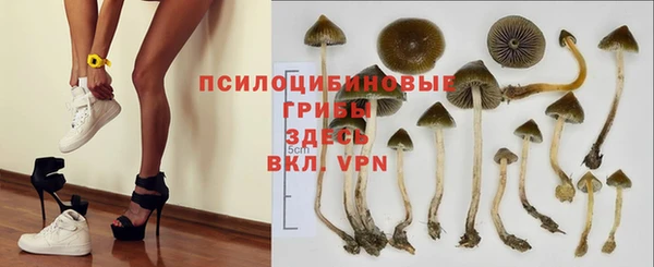 Альфа ПВП Верея