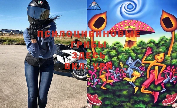 Альфа ПВП Верея