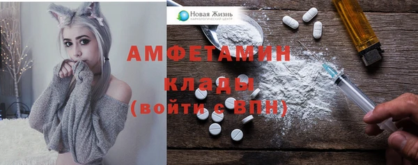 Альфа ПВП Верея